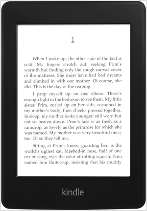 Электронная книга Amazon Kindle Paperwhite 2013